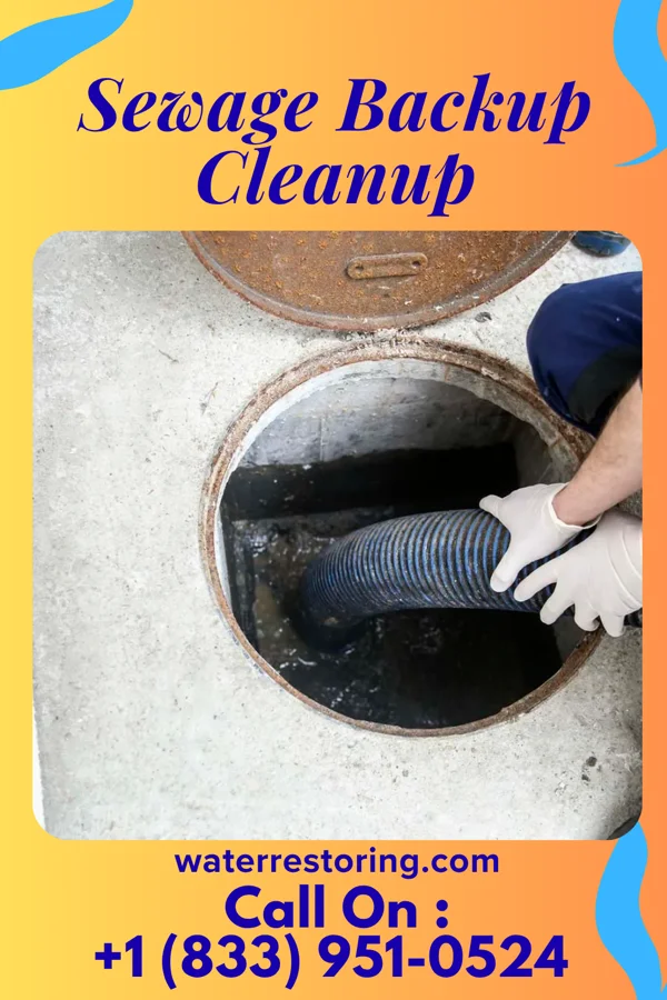 Sewage Backup Cleanup in Como, MS