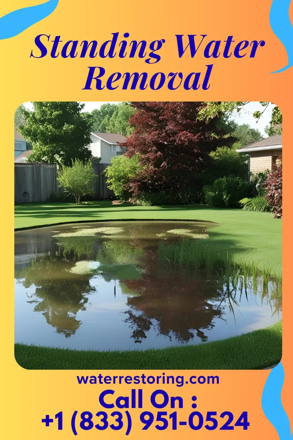 Standing Water Removal in Como, MS